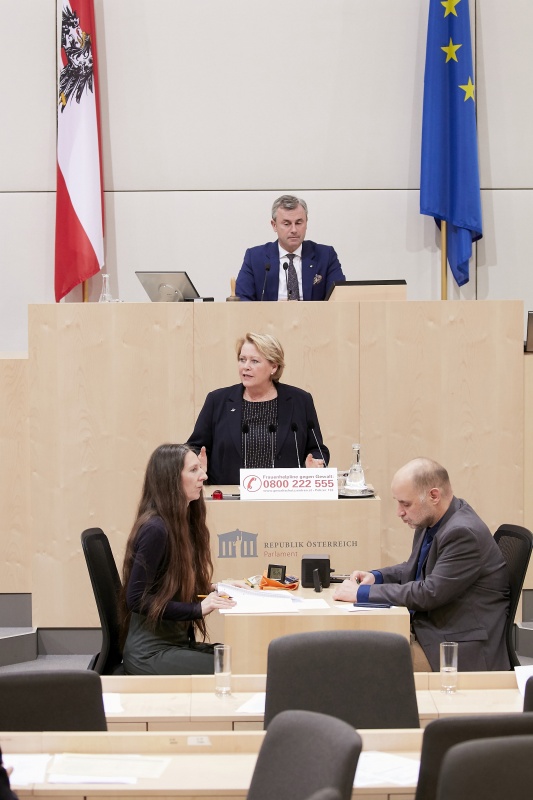 Am Rednerpult Nationalratsabgeordnete Gertraud Salzmann (V)