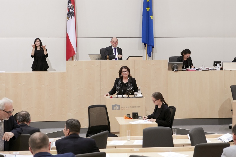 Am Rednerpult Nationalratsabgeordnete Elisabeth Scheucher-Pichler (V)