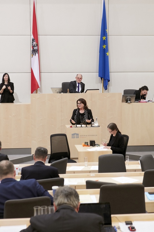 Am Rednerpult Nationalratsabgeordnete Elisabeth Scheucher-Pichler (V)