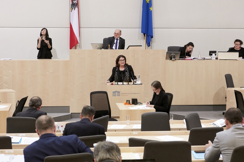 Am Rednerpult Nationalratsabgeordnete Elisabeth Scheucher-Pichler (V)