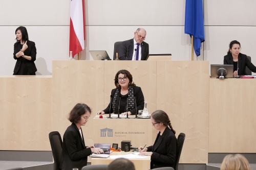 Am Rednerpult Nationalratsabgeordnete Elisabeth Scheucher-Pichler (V)