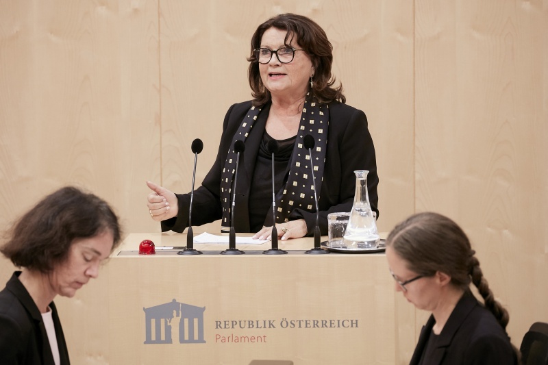 Am Rednerpult Nationalratsabgeordnete Elisabeth Scheucher-Pichler (V)