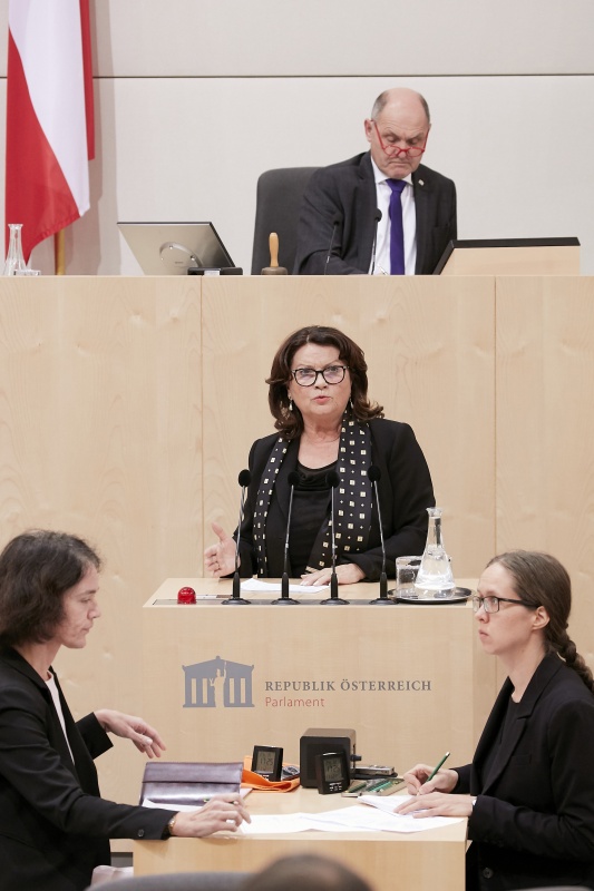 Am Rednerpult Nationalratsabgeordnete Elisabeth Scheucher-Pichler (V)