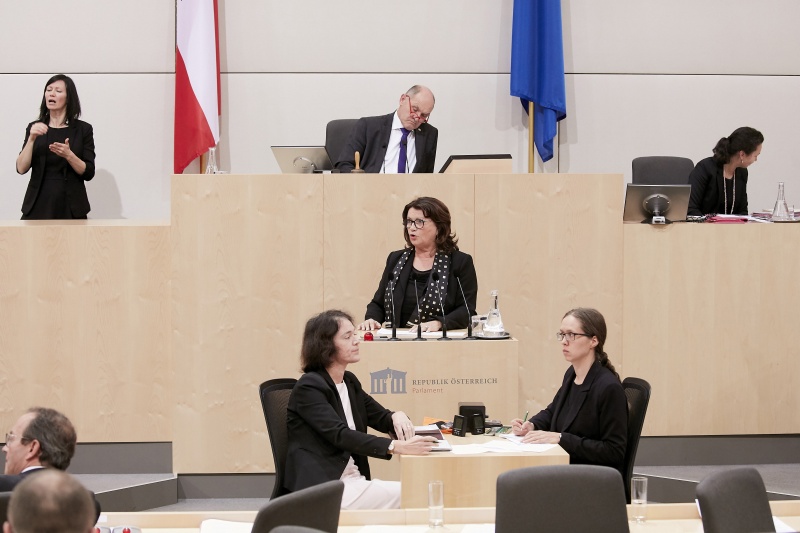 Am Rednerpult Nationalratsabgeordnete Elisabeth Scheucher-Pichler (V)