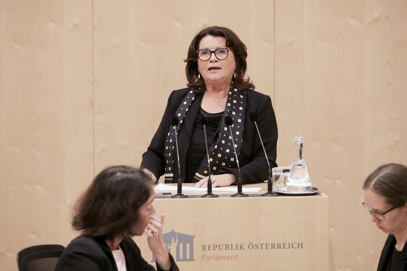 Am Rednerpult Nationalratsabgeordnete Elisabeth Scheucher-Pichler (V)
