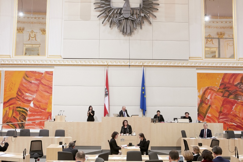Am Rednerpult Nationalratsabgeordnete Elisabeth Scheucher-Pichler (V)
