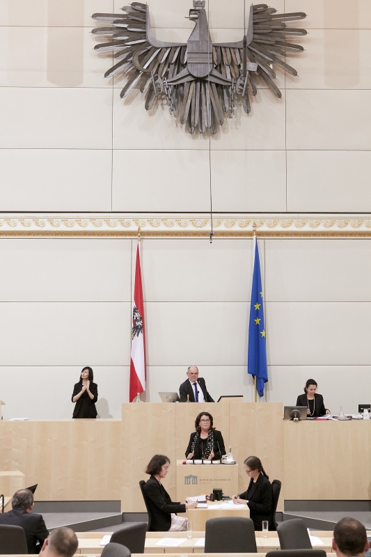 Am Rednerpult Nationalratsabgeordnete Elisabeth Scheucher-Pichler (V)