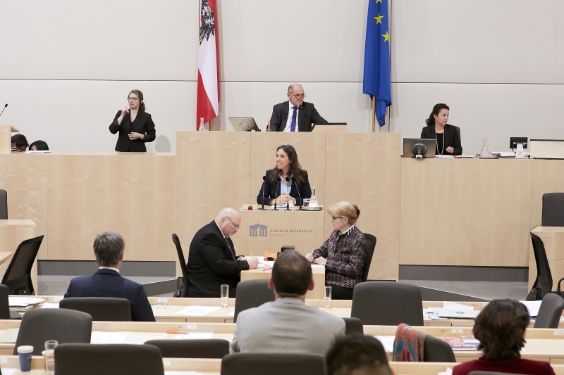 Am Rednerpult Nationalratsabgeordnete Ulrike Fischer (G)