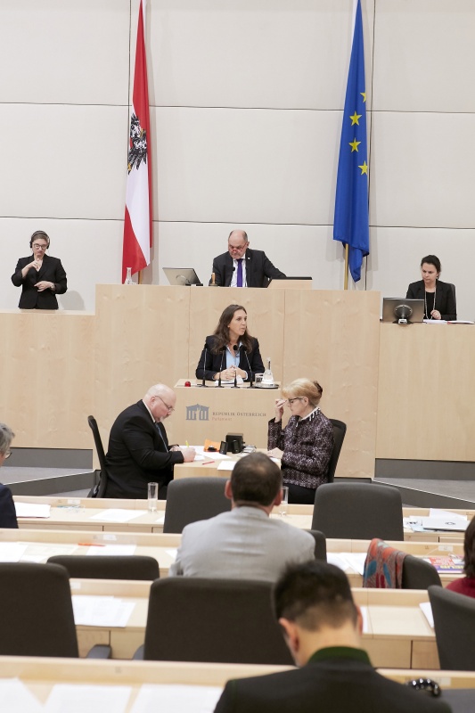 Am Rednerpult Nationalratsabgeordnete Ulrike Fischer (G)