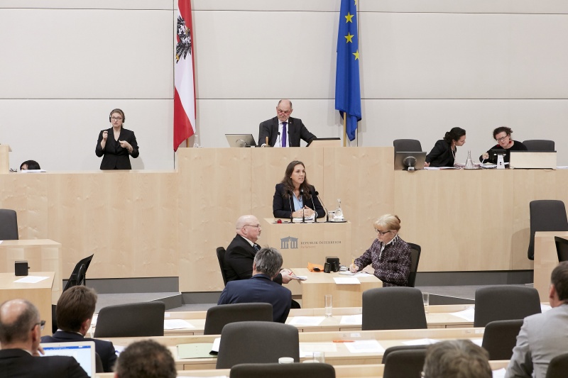Am Rednerpult Nationalratsabgeordnete Ulrike Fischer (G)