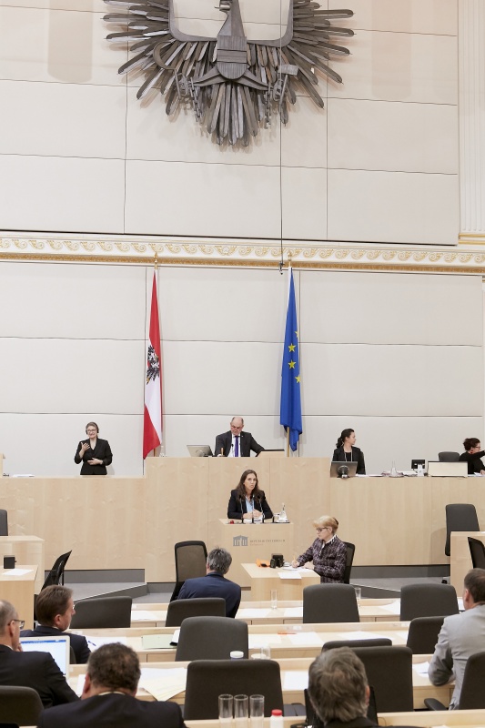 Am Rednerpult Nationalratsabgeordnete Ulrike Fischer (G)