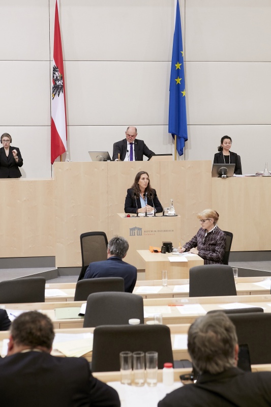 Am Rednerpult Nationalratsabgeordnete Ulrike Fischer (G)