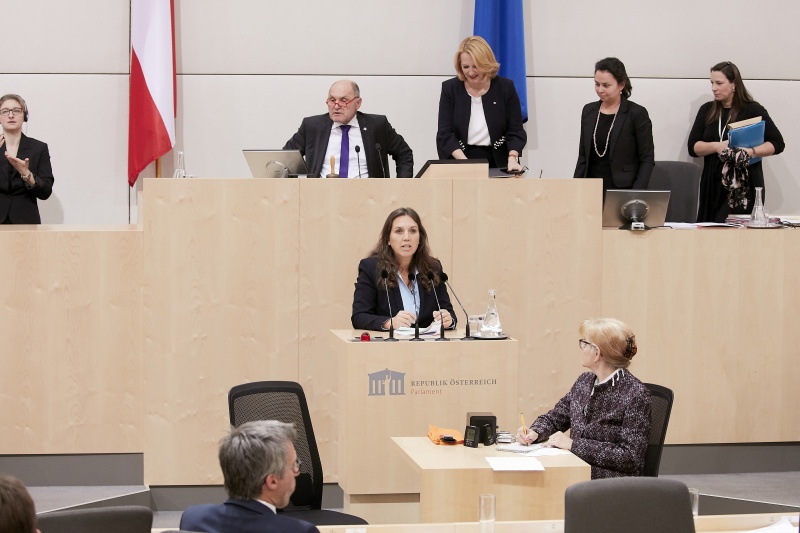 Am Rednerpult Nationalratsabgeordnete Ulrike Fischer (G)