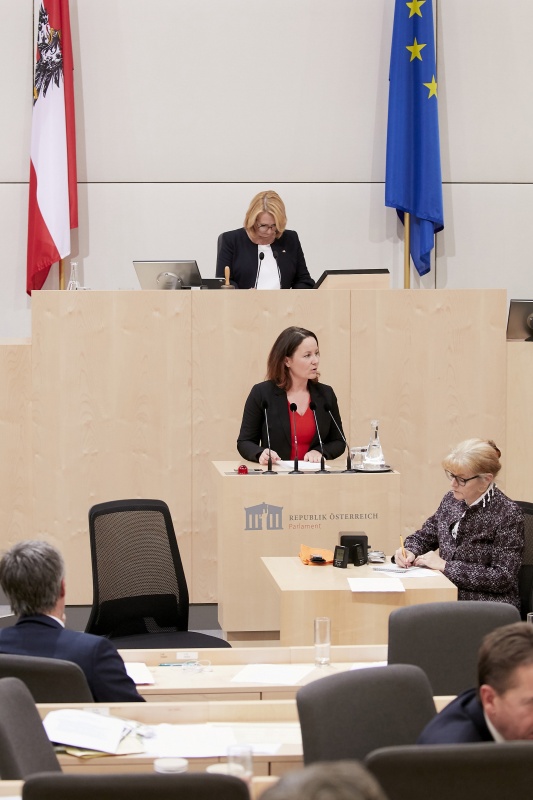 Am Rednerpult Nationalratsabgeordnete Cornelia Ecker (S)