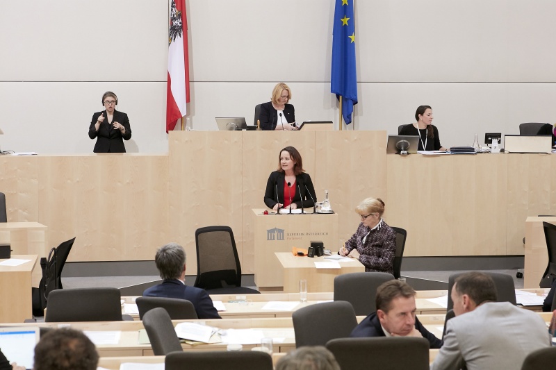 Am Rednerpult Nationalratsabgeordnete Cornelia Ecker (S)