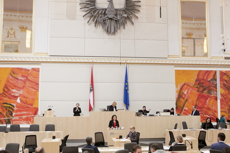 Am Rednerpult Nationalratsabgeordnete Cornelia Ecker (S)