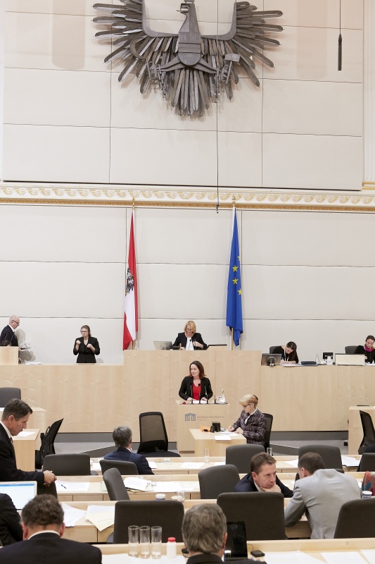 Am Rednerpult Nationalratsabgeordnete Cornelia Ecker (S)