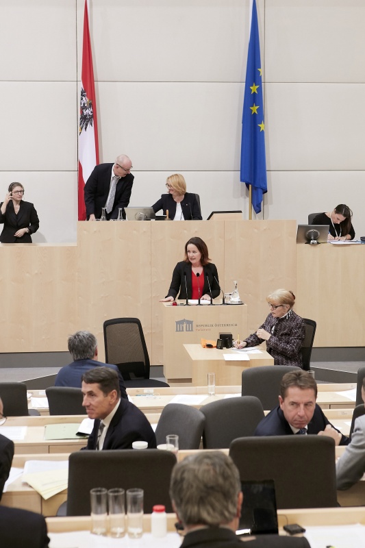 Am Rednerpult Nationalratsabgeordnete Cornelia Ecker (S)