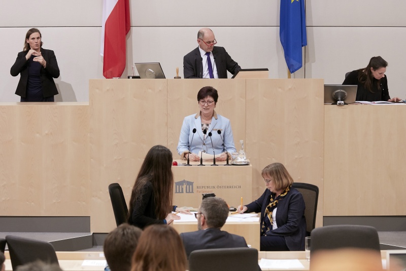 Am Rednerpult Nationalratsabgeordnete Rosa Ecker (F)
