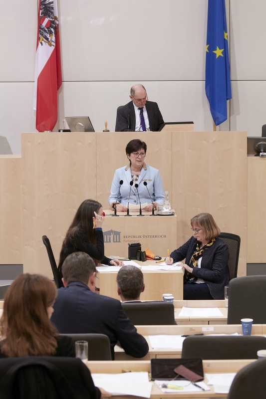 Am Rednerpult Nationalratsabgeordnete Rosa Ecker (F)
