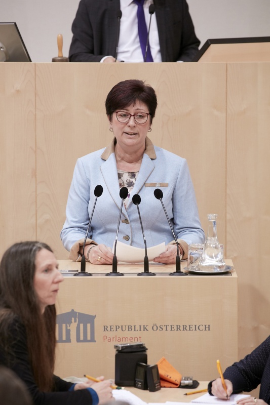 Am Rednerpult Nationalratsabgeordnete Rosa Ecker (F)