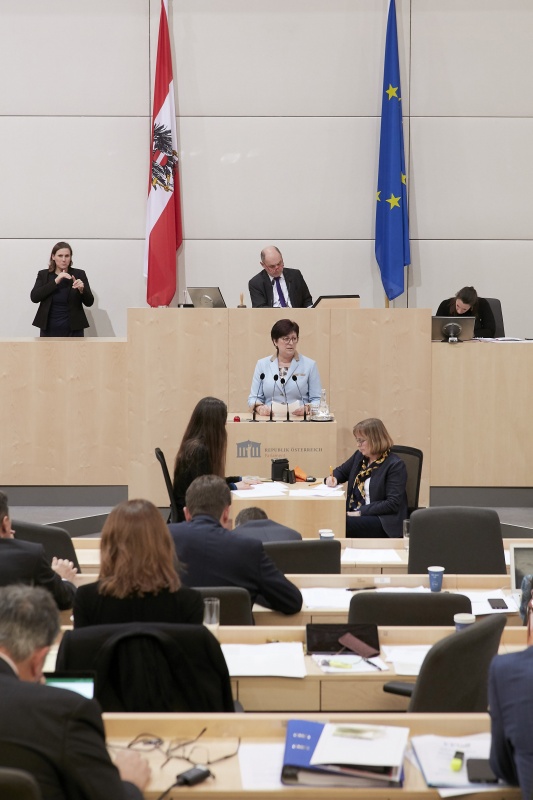 Am Rednerpult Nationalratsabgeordnete Rosa Ecker (F)