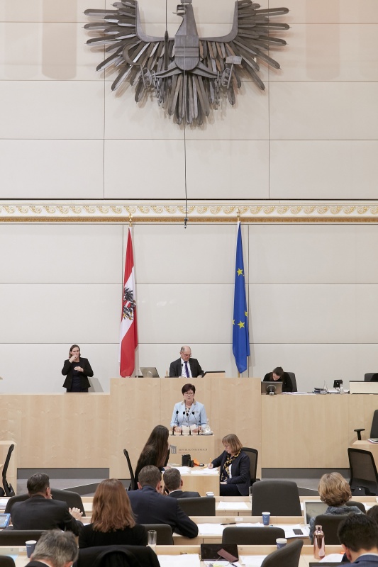 Am Rednerpult Nationalratsabgeordnete Rosa Ecker (F)