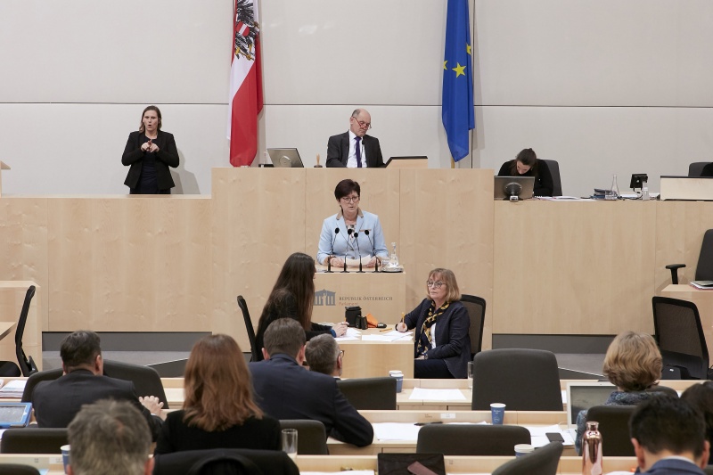 Am Rednerpult Nationalratsabgeordnete Rosa Ecker (F)