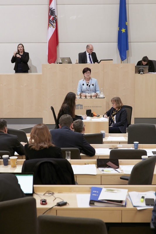 Am Rednerpult Nationalratsabgeordnete Rosa Ecker (F)