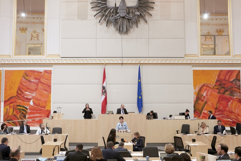 Am Rednerpult Nationalratsabgeordnete Rosa Ecker (F)