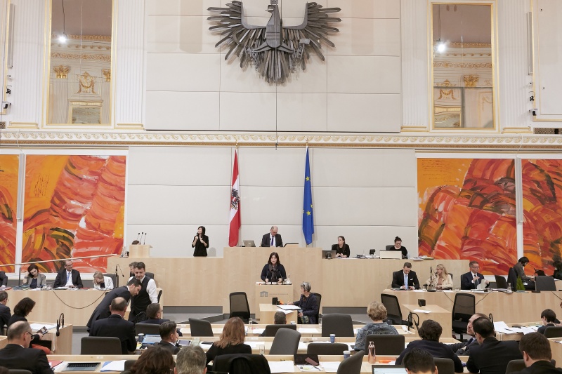 Am Rednerpult Nationalratsabgeordnete Agnes Totter (V)