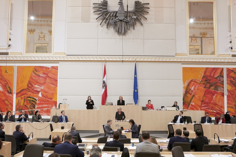 Am Rednerpult Nationalratsabgeordnete Gabriela Schwarz (V)