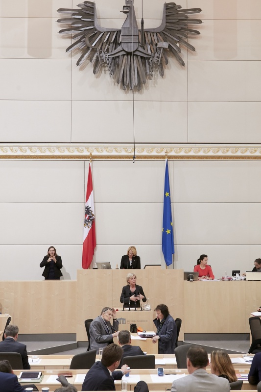 Am Rednerpult Nationalratsabgeordnete Gabriela Schwarz (V)