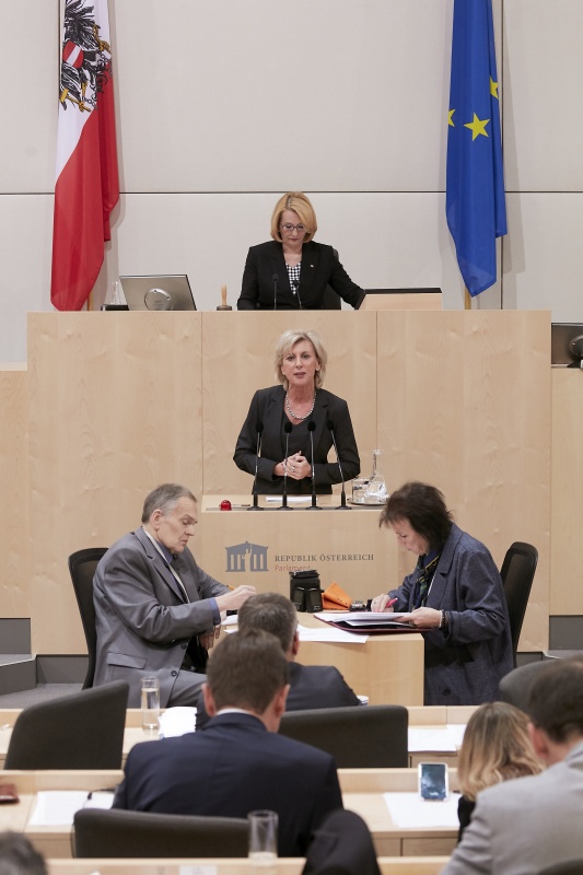 Am Rednerpult Nationalratsabgeordnete Gabriela Schwarz (V)