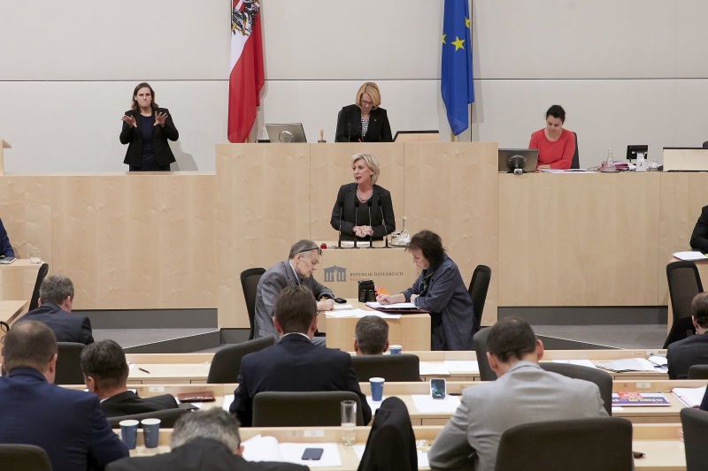Am Rednerpult Nationalratsabgeordnete Gabriela Schwarz (V)
