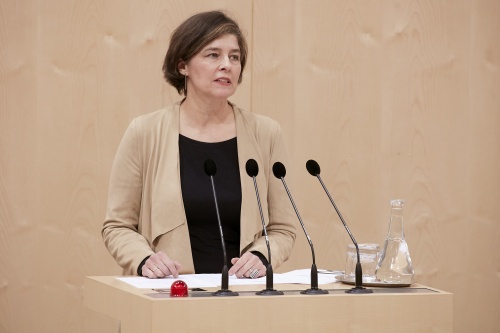 Am Rednerpult Nationalratsabgeordnete Elisabeth Götze (G)