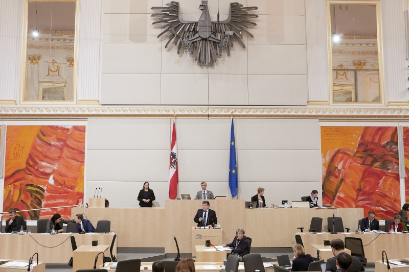 Am Rednerpult Nationalratsabgeordneter Rainer Wimmer (S)