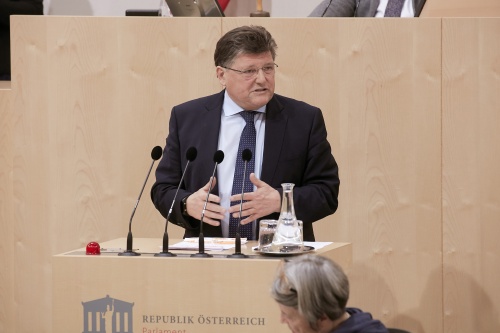 Am Rednerpult Nationalratsabgeordneter Rainer Wimmer (S)