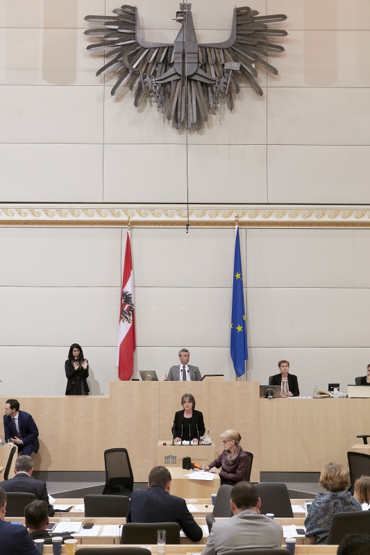 Am Rednerpult Nationalratsabgeordnete Andrea Kuntzl (S)