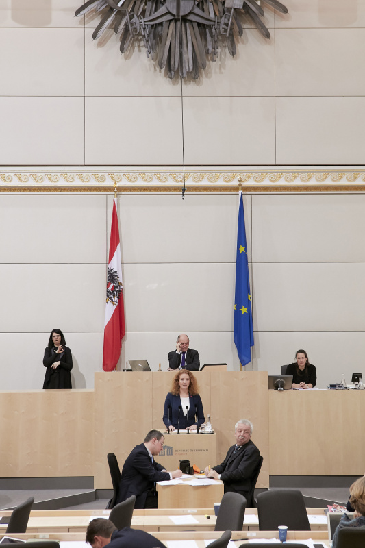 Am Rednerpult Nationalratsabgeordnete Fiona Fiedler (N)