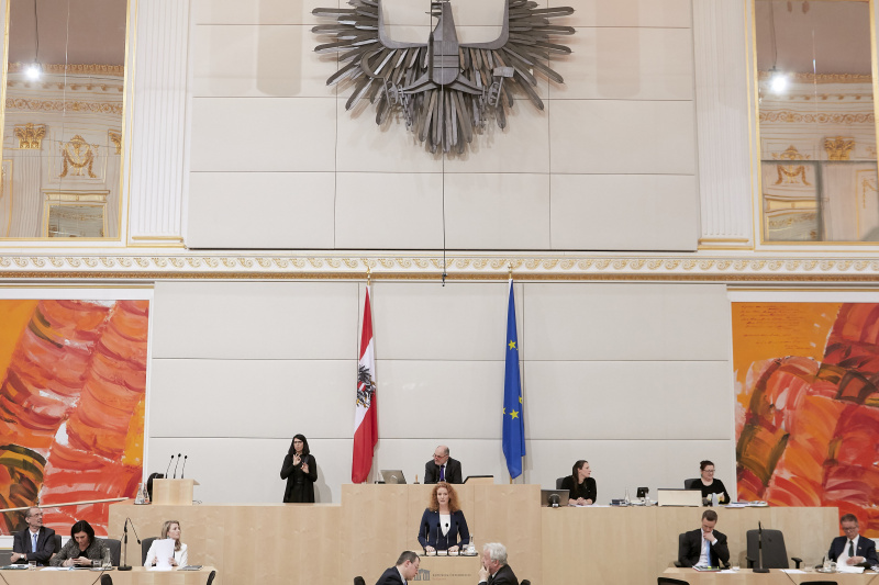 Am Rednerpult Nationalratsabgeordnete Fiona Fiedler (N)