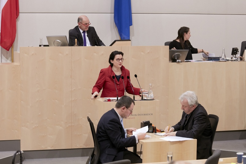 Am Rednerpult Nationalratsabgeordnete Gudrun Kugler (V)