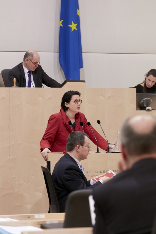 Am Rednerpult Nationalratsabgeordnete Gudrun Kugler (V)