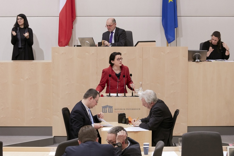 Am Rednerpult Nationalratsabgeordnete Gudrun Kugler (V)
