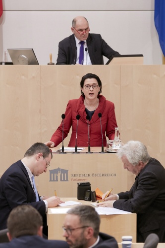 Am Rednerpult Nationalratsabgeordnete Gudrun Kugler (V)