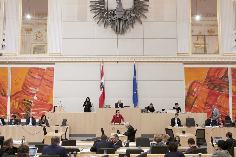 Am Rednerpult Nationalratsabgeordnete Gudrun Kugler (V)