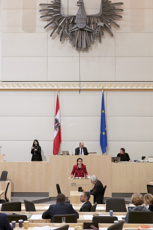Am Rednerpult Nationalratsabgeordnete Gudrun Kugler (V)