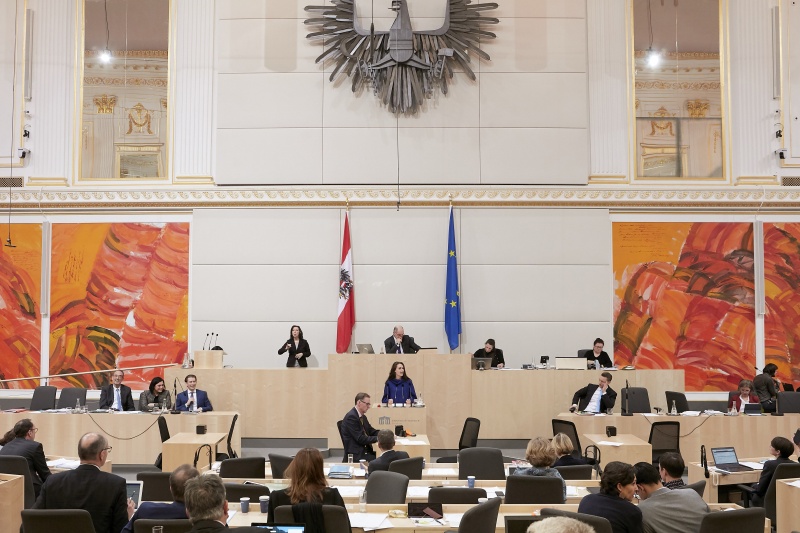 Am Rednerpult Nationalratsabgeordnete Barbara Neßler (G)