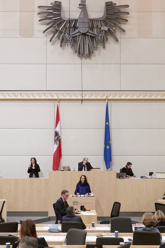 Am Rednerpult Nationalratsabgeordnete Barbara Neßler (G)