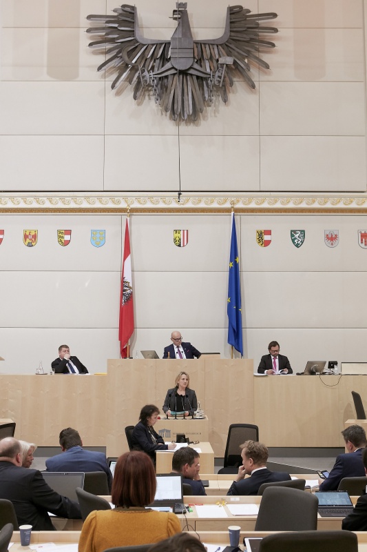 Am Rednerpult Bundesrätin Johanna Miesenberger (V)